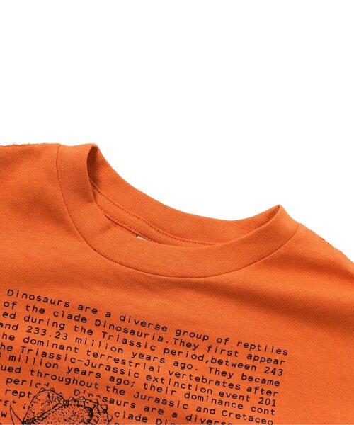 BREEZE(ブリーズ)の「/3柄ダイナソーロゴTシャツ(Tシャツ/カットソー・キッズ・エメラルド/オレンジ/ブラック・140/80/100/110/120/130/90/150)」の7枚目の写真