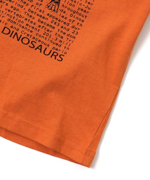BREEZE(ブリーズ)の「/3柄ダイナソーロゴTシャツ(Tシャツ/カットソー・キッズ・エメラルド/オレンジ/ブラック・140/80/100/110/120/130/90/150)」の4枚目の写真