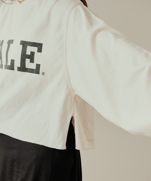 Chico（チコ）の「YALE ショート丈ダメージロゴロンT（スウェット・レディース・チャコールグレー/グレー/アイボリー・FREE）」の7枚目の写真