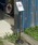 DULTONi_gj́uDULTON SIGN STAND A5/ _g TC X^h A5itHgt[jvbAeB[NVo[