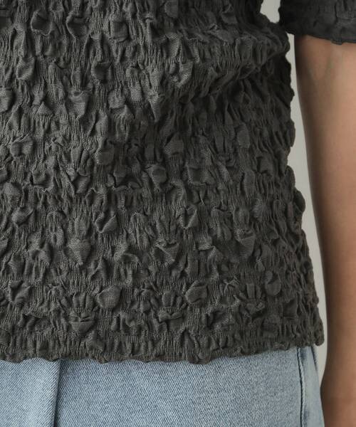 OPAQUE.CLIP(オペークドットクリップ)の「◆シャーリングレース5分袖カットソー【洗濯機洗い可】(Tシャツ/カットソー・レディース・ホワイト/ブラック/チャコールグレー・00)」の21枚目の写真