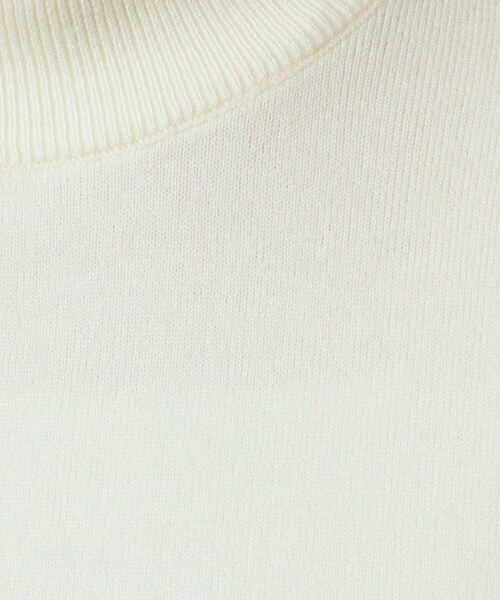 ITS'DEMO(イッツデモ)の「◆【吸湿発熱/薄手/マシンウォッシャブル】ハイネックニット(ニット/セーター・レディース・アイボリー/ブラック/サックスブルー/ブルーグリーン/ライトイエロー系・00)」の13枚目の写真