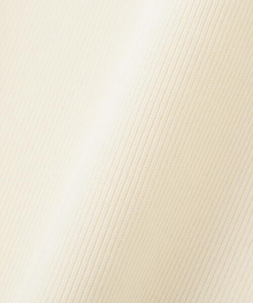 PROPORTION BODY DRESSING(プロポーションボディドレッシング)の「前後2WAYフライスTシャツ / 1215260606(Tシャツ/カットソー・レディース・ブラック/ホワイト系その他/ボルドー・FREE)」の19枚目の写真