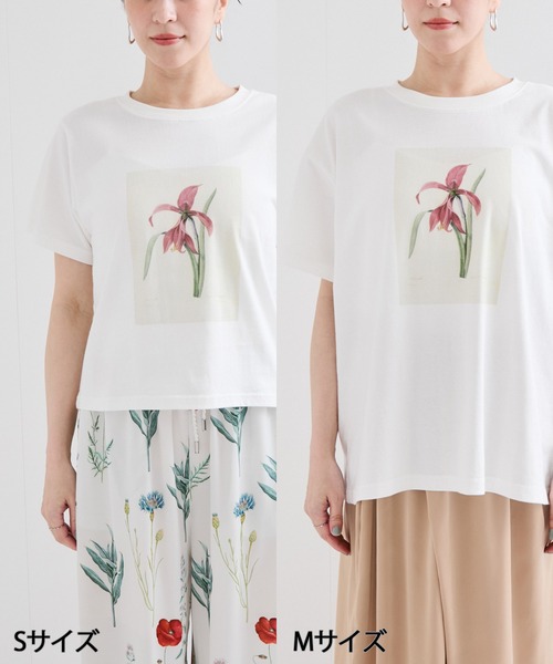 le cercle ADAM ET ROPE'(ルセルクルアダムエロペ)の「【NYBG】フラワースケッチTシャツ(Tシャツ/カットソー・レディース・ホワイト系その他・S/M)」の9枚目の写真
