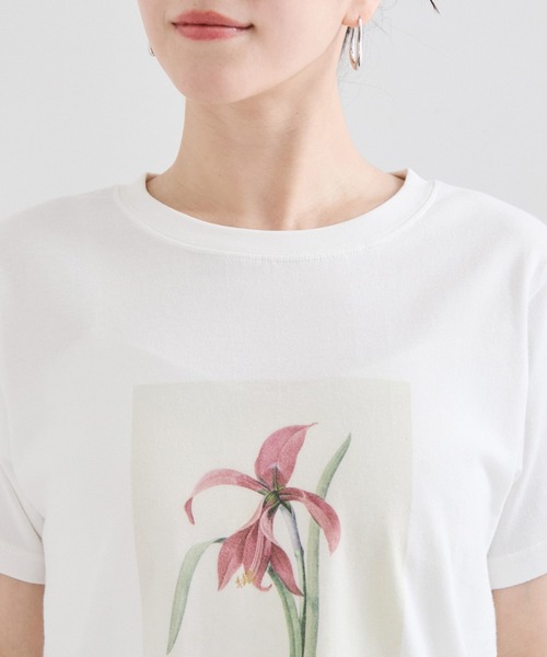 le cercle ADAM ET ROPE'(ルセルクルアダムエロペ)の「【NYBG】フラワースケッチTシャツ(Tシャツ/カットソー・レディース・ホワイト系その他・S/M)」の6枚目の写真