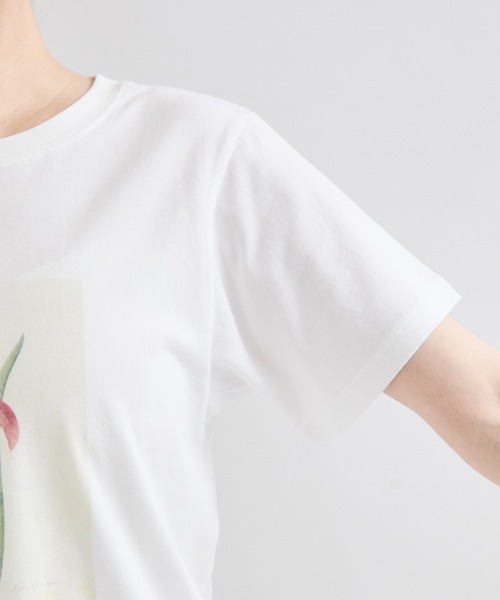 le cercle ADAM ET ROPE'(ルセルクルアダムエロペ)の「【NYBG】フラワースケッチTシャツ(Tシャツ/カットソー・レディース・ホワイト系その他・S/M)」の5枚目の写真
