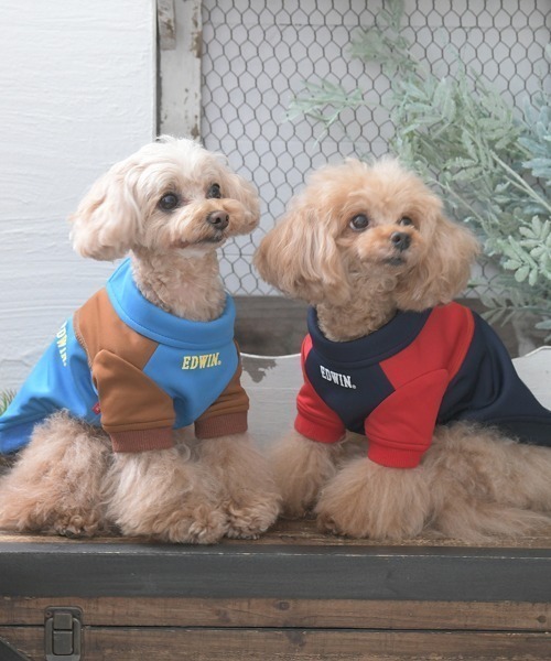 EDWIN（エドウィン）の「EDWIN/切替バイカラージャケット（ペットウェア・メンズ・ブルー/ネイビー・L/M/S/XS/3L/2L）」の16枚目の写真