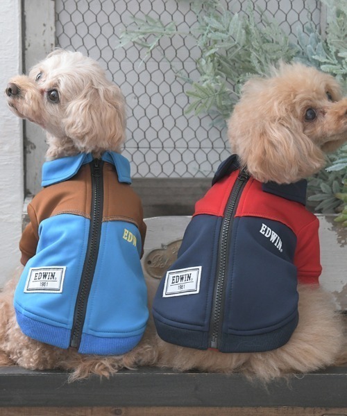 EDWIN（エドウィン）の「EDWIN/切替バイカラージャケット（ペットウェア・メンズ・ブルー/ネイビー・L/M/S/XS/3L/2L）」の17枚目の写真