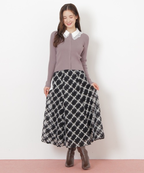 JILL by JILL STUART(ジルバイジルスチュアート)の「◇エンブロイダリーシアーチェック(スカート・レディース・ブラック系その他/ホワイト系その他/ブルー系その他・FREE)」の16枚目の写真