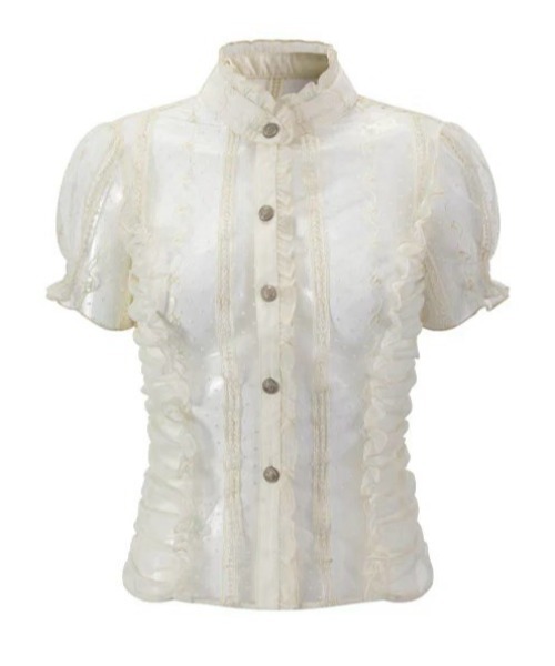 Cest Nous(セヌー)の「【Cest Nous】Polka dot embroidered shirt / 【セヌー】シースルードットレース半袖チュールブラウス(シャツ/ブラウス・レディース・ホワイト・S/M)」の8枚目の写真