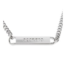 PAMEO POSE | Scorpio Plate Choker(ネックレス)