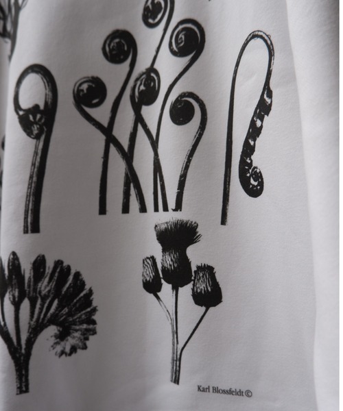 BEAVER(ビーバー)の「KARL BLOSSFELDT/カール・ブロスフェルト SWEAT SHIRT スウェット(スウェット・レディース・ホワイト・S/M/L/XL)」の3枚目の写真