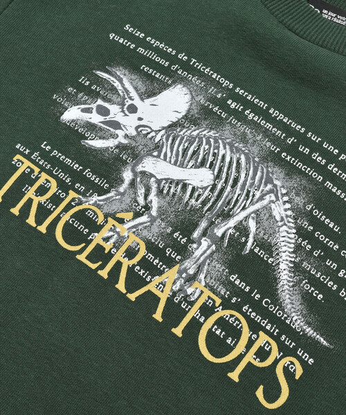 BeBe（ベベ）の「ベア裏毛恐竜標本トレーナー(80~150cm)（スウェット・キッズ・オフホワイト/グリーン/イエロー・90cm/100cm/130cm/120cm/140cm/110cm/80ｃｍ/150cm）」の13枚目の写真