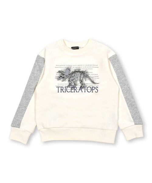 BeBe（ベベ）の「ベア裏毛恐竜標本トレーナー(80~150cm)（スウェット・キッズ・オフホワイト/グリーン/イエロー・90cm/100cm/130cm/120cm/140cm/110cm/80ｃｍ/150cm）」の16枚目の写真