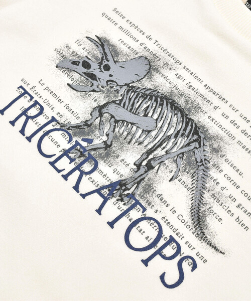 BeBe（ベベ）の「ベア裏毛恐竜標本トレーナー(80~150cm)（スウェット・キッズ・オフホワイト/グリーン/イエロー・90cm/100cm/130cm/120cm/140cm/110cm/80ｃｍ/150cm）」の18枚目の写真