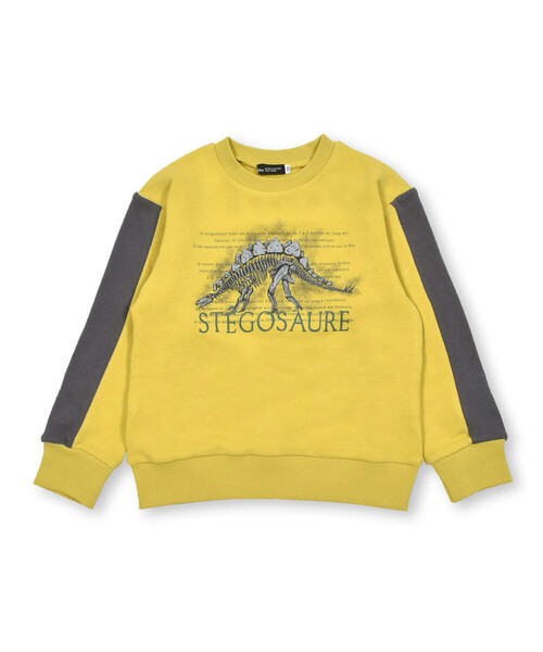 BeBe（ベベ）の「ベア裏毛恐竜標本トレーナー(80~150cm)（スウェット・キッズ・オフホワイト/グリーン/イエロー・90cm/100cm/130cm/120cm/140cm/110cm/80ｃｍ/150cm）」の21枚目の写真