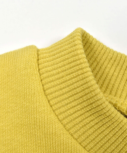 BeBe（ベベ）の「ベア裏毛恐竜標本トレーナー(80~150cm)（スウェット・キッズ・オフホワイト/グリーン/イエロー・90cm/100cm/130cm/120cm/140cm/110cm/80ｃｍ/150cm）」の22枚目の写真