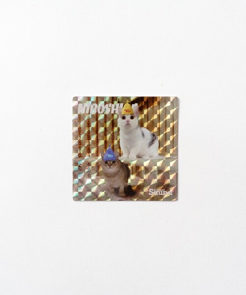 FREAK'S STORE（フリークスストア）の「SAUVENIR/サウベニア SAUVENIR×にぼしら/別注 SAUVENIR SHIRASU ショートスリーブポケットTシャツ/しらす（Tシャツ/カットソー・メンズ・グレー/ブラック/ホワイト・SMALL/MEDIUM/LARGE）」の11枚目の写真