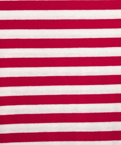 La-gemme（ラジェム）の「クロップドボーダーTシャツ（Tシャツ/カットソー・レディース・グレー/グリーン/レッド/ブルー/ブラック・フリー）」の11枚目の写真