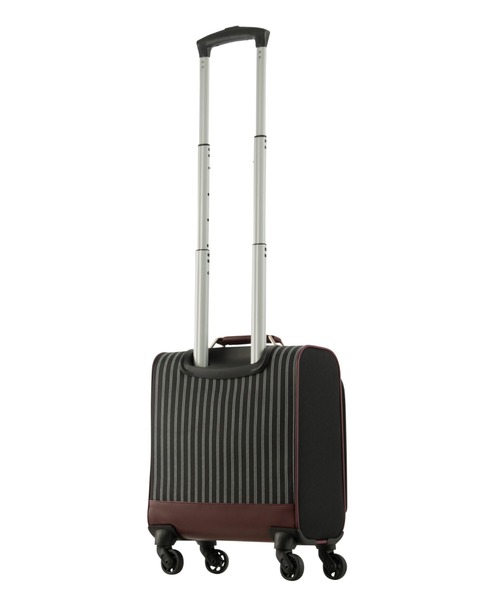 セール】メリディオナ3 ソフトキャリー 19L 1～2泊 2.2kg 機内持込