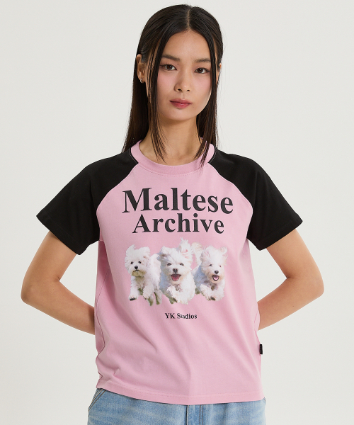 WaiKei(ワイケイ)の「マルチーズアーカイブラグラン半袖Tシャツブラックピンク(Tシャツ/カットソー・レディース・その他・0/2/1)」の6枚目の写真