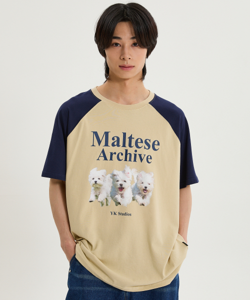 WaiKei(ワイケイ)の「マルチーズアーカイブラグラン半袖Tシャツブラックピンク(Tシャツ/カットソー・レディース・その他・0/2/1)」の10枚目の写真