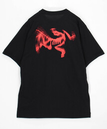 ARC'TERYX/アークテリクス Kragg SL Cotton Blurred Bird SS