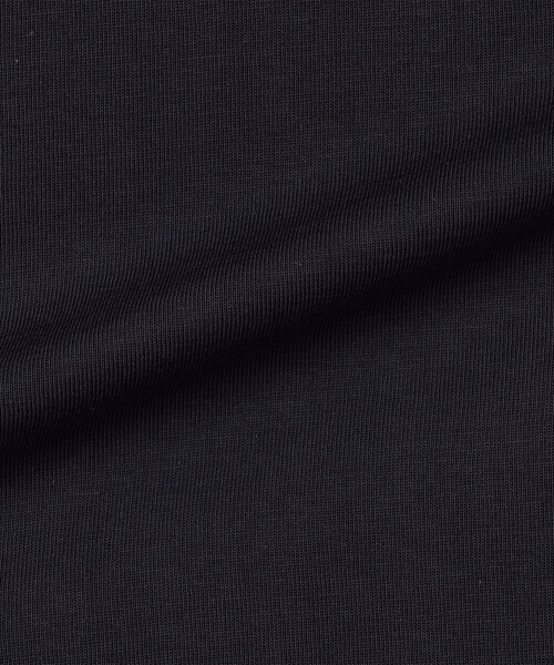 ARC'TERYX(アークテリクス)の「ARC'TERYX/アークテリクス Kragg SL Cotton Blurred Bird SS(Tシャツ/カットソー・メンズ・ホワイト/レッド/ブラック・X-LARGE/LARGE/MEDIUM/SMALL)」の8枚目の写真