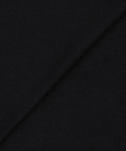 ARC'TERYX(アークテリクス)の「ARC'TERYX/アークテリクス Kragg SL Cotton Blurred Bird SS(Tシャツ/カットソー・メンズ・ホワイト/レッド/ブラック・X-LARGE/LARGE/MEDIUM/SMALL)」の13枚目の写真