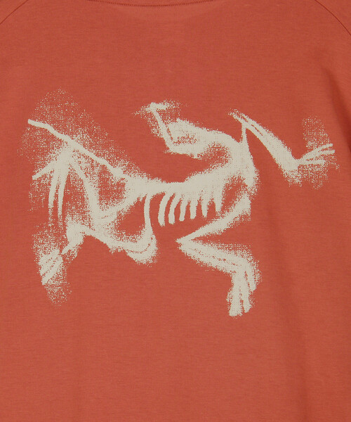 ARC'TERYX(アークテリクス)の「ARC'TERYX/アークテリクス Kragg SL Cotton Blurred Bird SS(Tシャツ/カットソー・メンズ・ホワイト/レッド/ブラック・X-LARGE/LARGE/MEDIUM/SMALL)」の16枚目の写真