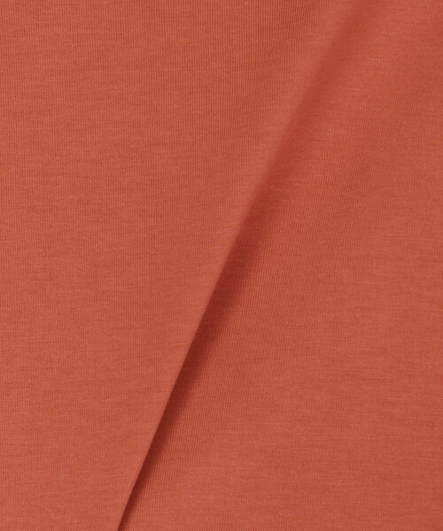 ARC'TERYX(アークテリクス)の「ARC'TERYX/アークテリクス Kragg SL Cotton Blurred Bird SS(Tシャツ/カットソー・メンズ・ホワイト/レッド/ブラック・X-LARGE/LARGE/MEDIUM/SMALL)」の17枚目の写真