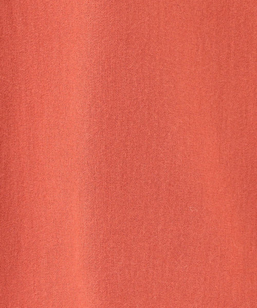 SHIPS(シップス)の「Vネックポンチジャージープルオーバー◇(Tシャツ/カットソー・レディース・オフホワイト/ベージュ/ライトブルー/オレンジ/ブラック/ベージュ系その他・ONE SIZE)」の17枚目の写真
