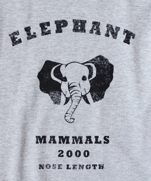 antiqua（アンティカ）の「アニマルイラストロンＴ（Tシャツ/カットソー・キッズ・その他4/その他5/その他3/その他1/その他2・160/130/140/120/150）」の21枚目の写真