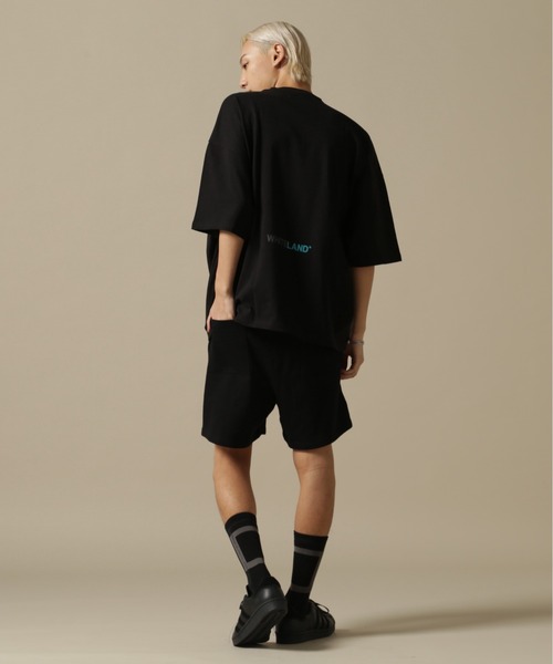 WEB&DEPOT限定】WHITELAND/ホワイトランド/OWL/COLOR LOGO SWT