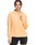 ROXYiLV[j́uPURE PURSUIT MESH HO/LV[tBbglXn[tWbvp[J[Et[fB[ip[J[jvbIW