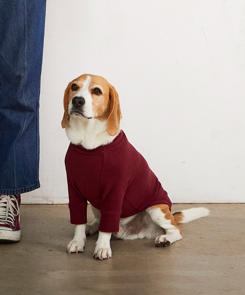 スキンタイトウォームTシャツ/小型犬・中型犬（ペットウェア