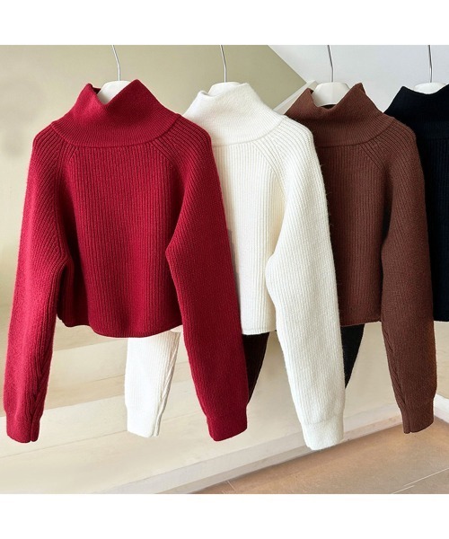 Miniministore(ミニミニストア)の「ニットトップス ショート丈 レディース(ニット/セーター・レディース・レッド/ブラック/アイボリー/ブラウン・FREE)」の5枚目の写真