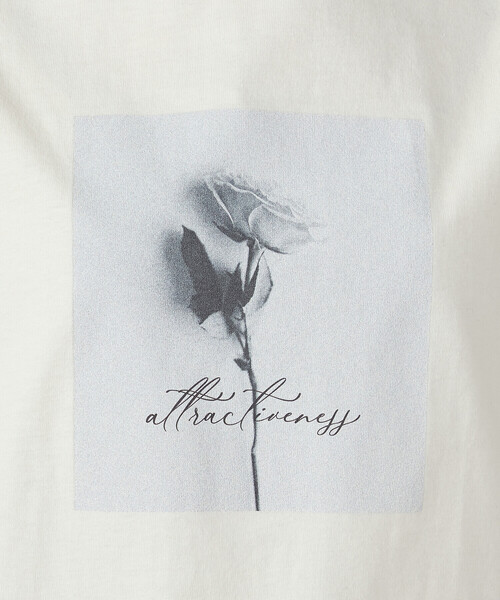 COMME CA ISM(コムサイズム)の「フォトプリントTシャツ(Tシャツ/カットソー・レディース・アイボリー/オリーブ/ブラウン/チャコール・SMALL/MEDIUM/LARGE)」の15枚目の写真