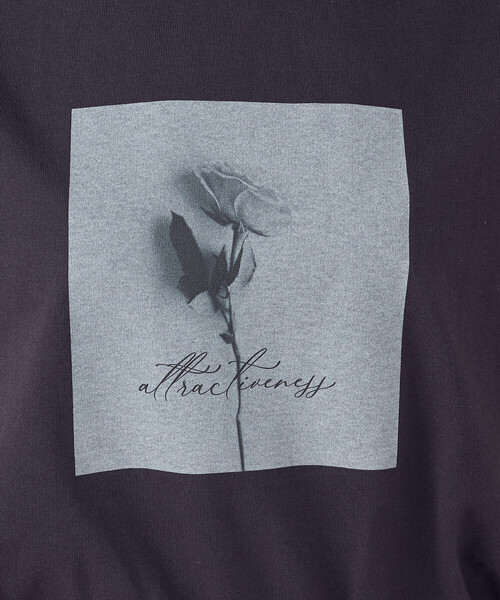 COMME CA ISM(コムサイズム)の「フォトプリントTシャツ(Tシャツ/カットソー・レディース・アイボリー/オリーブ/ブラウン/チャコール・SMALL/MEDIUM/LARGE)」の16枚目の写真