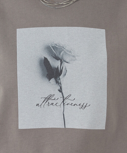 COMME CA ISM(コムサイズム)の「フォトプリントTシャツ(Tシャツ/カットソー・レディース・アイボリー/オリーブ/ブラウン/チャコール・SMALL/MEDIUM/LARGE)」の17枚目の写真