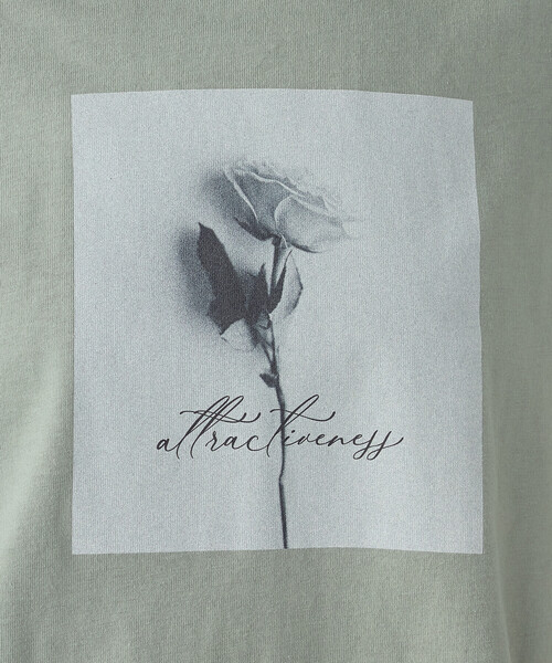 COMME CA ISM(コムサイズム)の「フォトプリントTシャツ(Tシャツ/カットソー・レディース・アイボリー/オリーブ/ブラウン/チャコール・SMALL/MEDIUM/LARGE)」の18枚目の写真