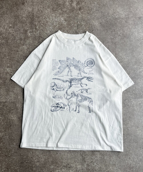 CPCM（シーピーシーエム）の「カラーパウダーダイナソーT（Tシャツ/カットソー・メンズ・ホワイト/ブルー系その他/オレンジ・MEDIUM/LARGE）」の22枚目の写真