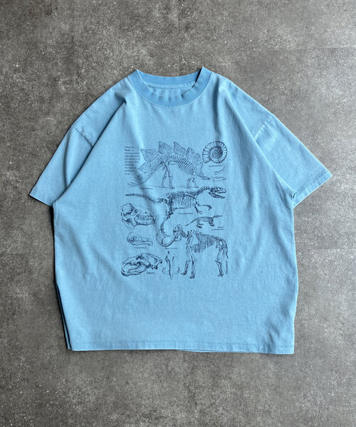 CPCM（シーピーシーエム）の「カラーパウダーダイナソーT（Tシャツ/カットソー・メンズ・ホワイト/ブルー系その他/オレンジ・MEDIUM/LARGE）」の9枚目の写真