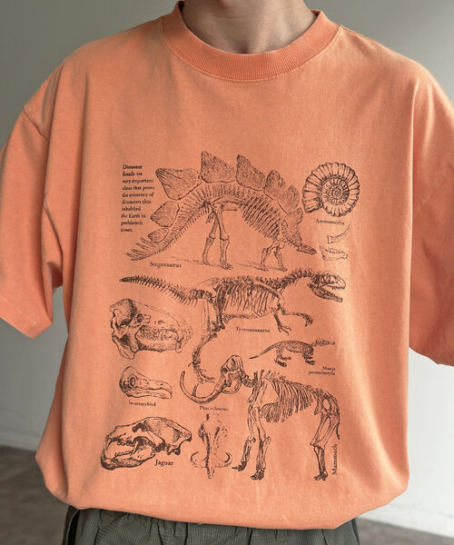 CPCM（シーピーシーエム）の「カラーパウダーダイナソーT（Tシャツ/カットソー・メンズ・ホワイト/ブルー系その他/オレンジ・MEDIUM/LARGE）」の17枚目の写真