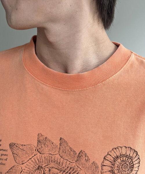 CPCM（シーピーシーエム）の「カラーパウダーダイナソーT（Tシャツ/カットソー・メンズ・ホワイト/ブルー系その他/オレンジ・MEDIUM/LARGE）」の18枚目の写真