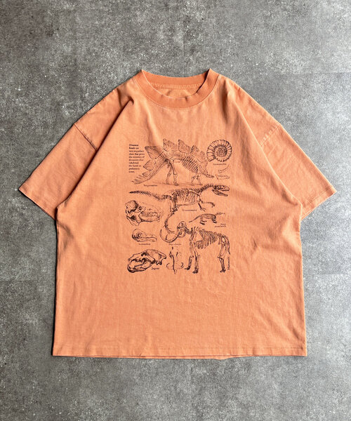 CPCM（シーピーシーエム）の「カラーパウダーダイナソーT（Tシャツ/カットソー・メンズ・ホワイト/ブルー系その他/オレンジ・MEDIUM/LARGE）」の19枚目の写真