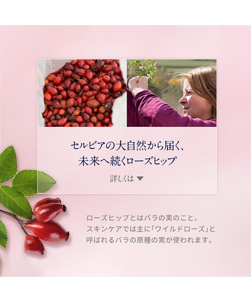 NEAL'S YARD REMEDIES（ニールズヤードレメディーズ）の「ワイルドローズ アイブライトナー 10mL（まつ毛/アイケア・レディース・ワイルドローズ・FREE）」の5枚目の写真