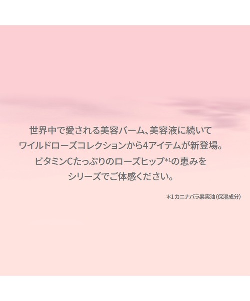 NEAL'S YARD REMEDIES（ニールズヤードレメディーズ）の「ワイルドローズ アイブライトナー 10mL（まつ毛/アイケア・レディース・ワイルドローズ・FREE）」の9枚目の写真