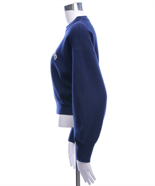 CLEAR BASIC（クリアベーシック）の「イヌ柄ダブルジャガードニットトップス[着回し力抜群 ガーリー アニマル]（ニット/セーター・レディース・グレー/ネイビー/アイボリー・F）」の11枚目の写真