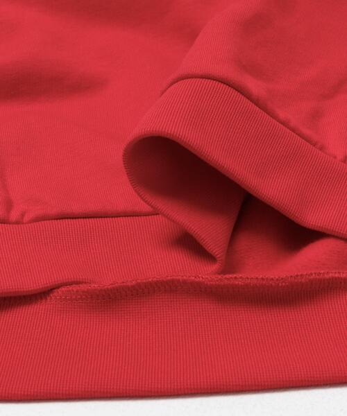 SENSE OF PLACE by URBAN RESEARCH（センスオブプレイスバイアーバンリサーチ）の「Dog graphic crew-neck Sweat（スウェット・メンズ・レッド/オートミール/ブラック・MEDIUM/LARGE）」の17枚目の写真